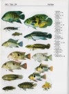Akvarijn ryby, 500 druh, 1995